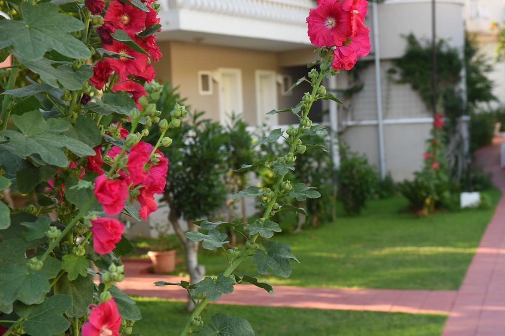 Oludeniz Turquoise Hotel エクステリア 写真